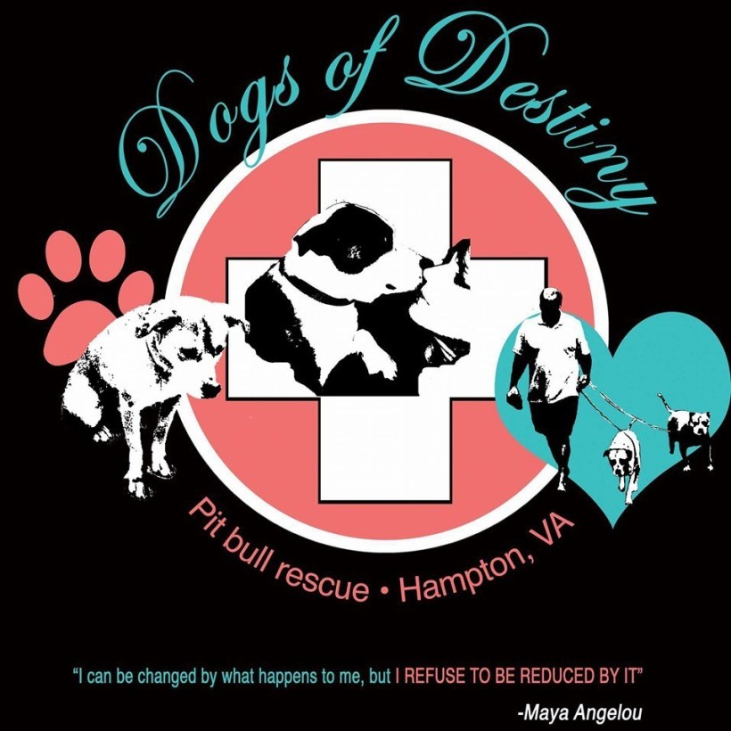 cropped-13690884_1088675544545260_6543583886852710345_n